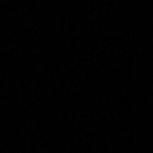 Meet your Posher, Precious